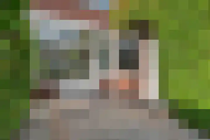 Star Numanstraat 63 Groningen thumbnail 49