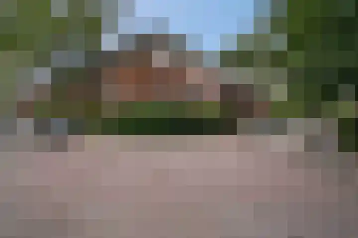 Star Numanstraat 63 Groningen thumbnail 57