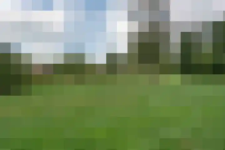 Star Numanstraat 63 Groningen thumbnail 58
