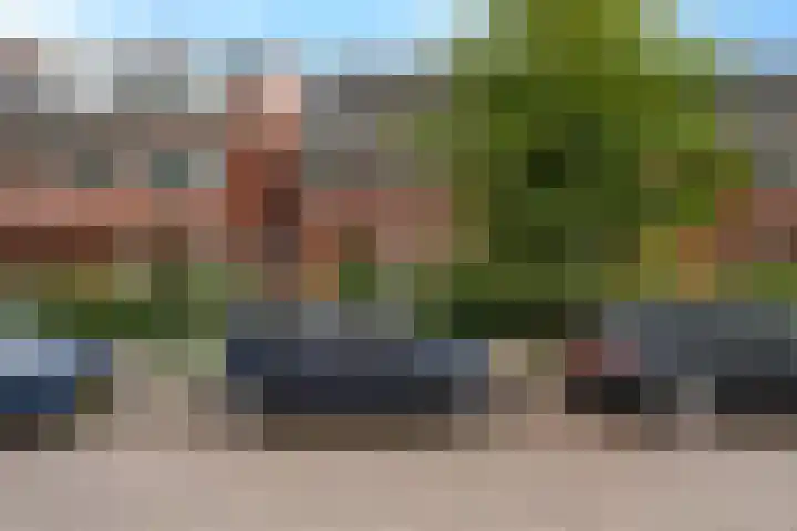 Star Numanstraat 63 Groningen thumbnail 9