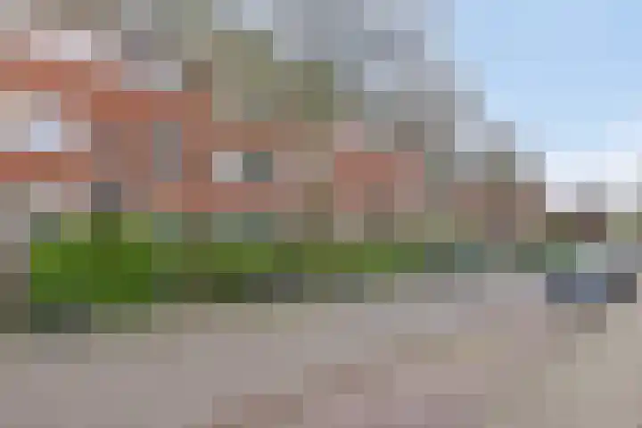 Star Numanstraat 75 a Groningen thumbnail 17
