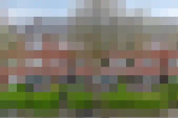 Star Numanstraat 75 a Groningen thumbnail 18