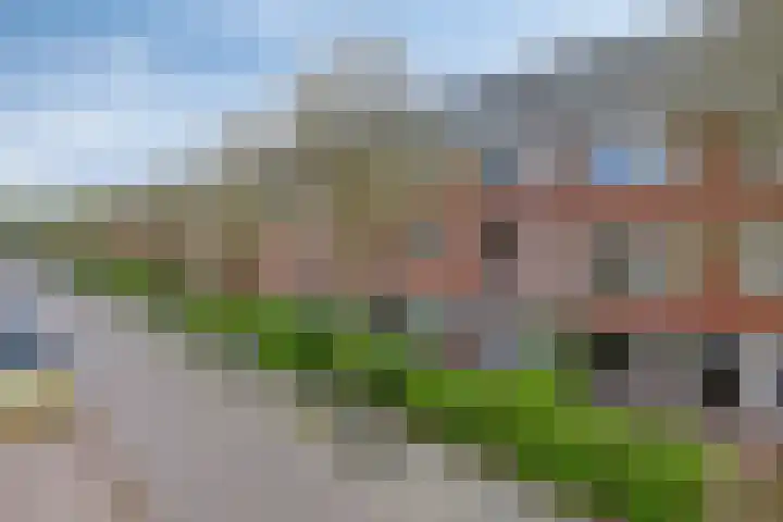 Star Numanstraat 75 a Groningen thumbnail 19