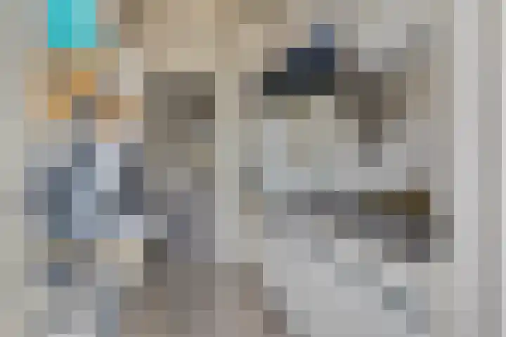 Star Numanstraat 75 a Groningen thumbnail 7