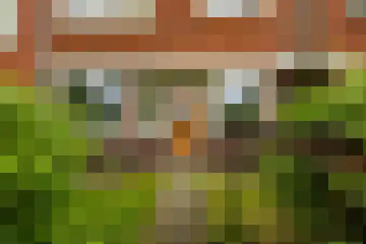 Star Numanstraat 77 Groningen thumbnail 4
