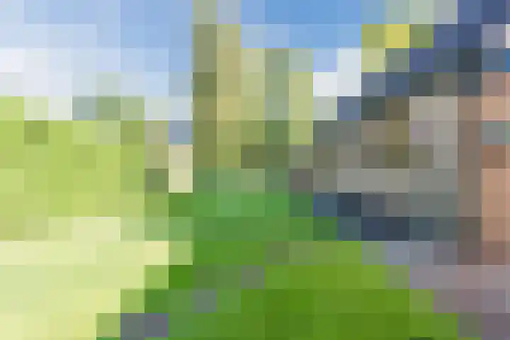 Stargardlaan 10 Apeldoorn thumbnail 37