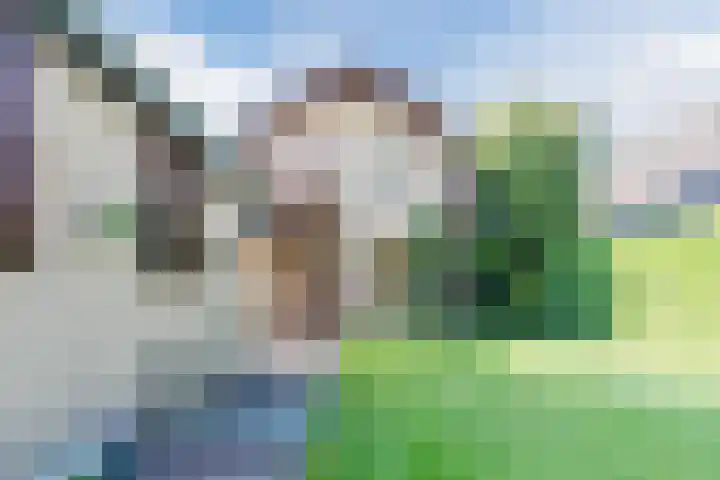 Stargardlaan 10 Apeldoorn thumbnail 41