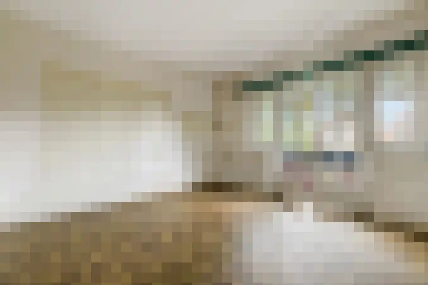 Stargardlaan 10 Bussum thumbnail 28