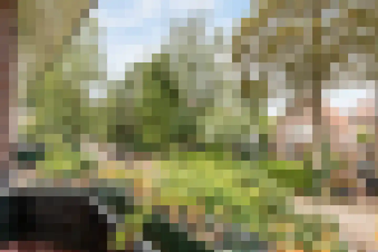Stargardlaan 10 Bussum thumbnail 31
