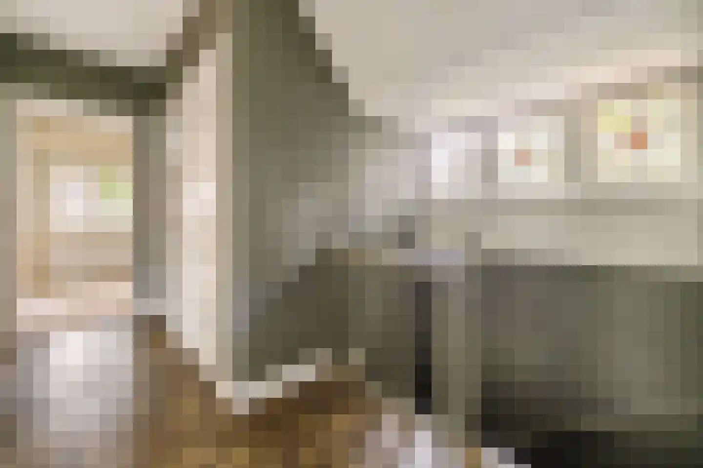 Stargardlaan 10 Bussum thumbnail 32