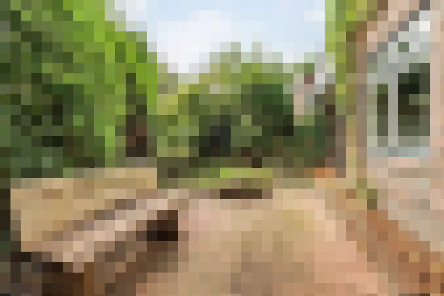 Stargardlaan 10 Bussum thumbnail 39