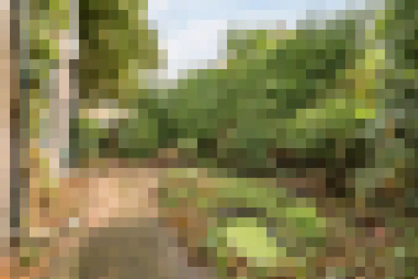 Stargardlaan 10 Bussum thumbnail 40