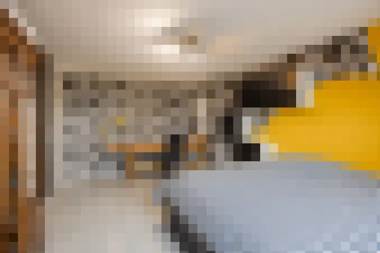 Staringhof 1 Hellevoetsluis thumbnail 21