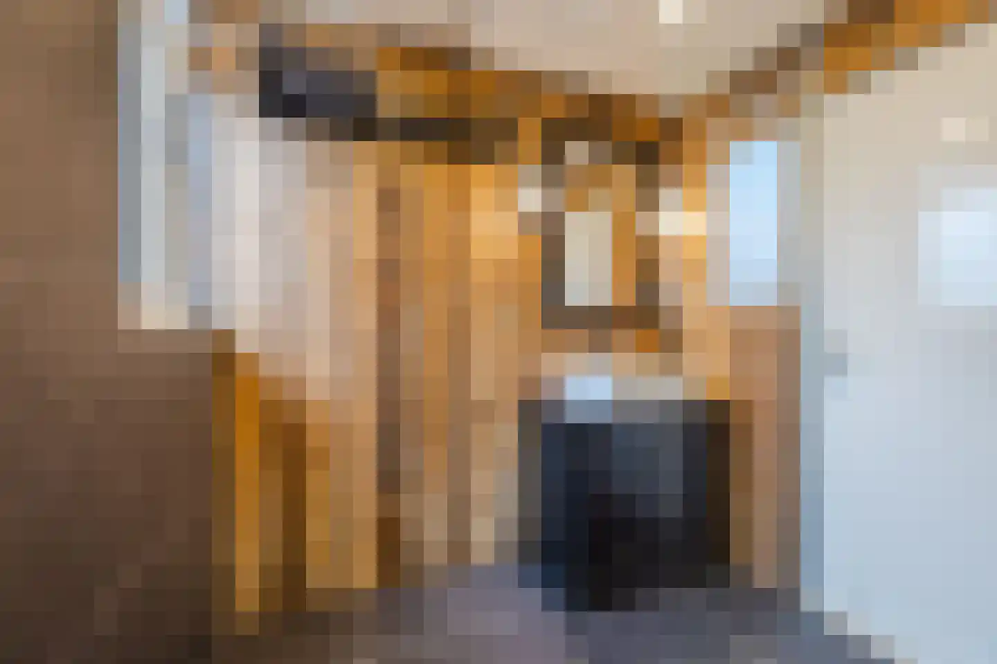 Staringhof 1 Hellevoetsluis thumbnail 28