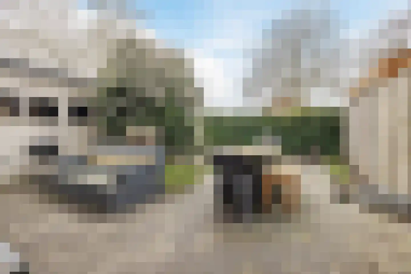 Staringhof 1 Hellevoetsluis thumbnail 34
