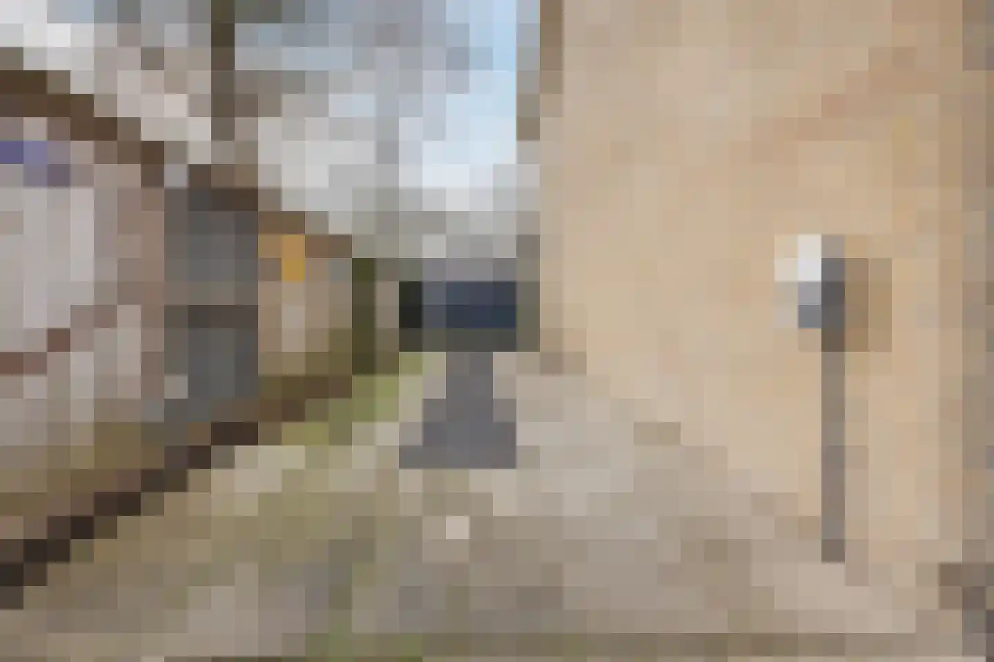 Staringhof 1 Hellevoetsluis thumbnail 41