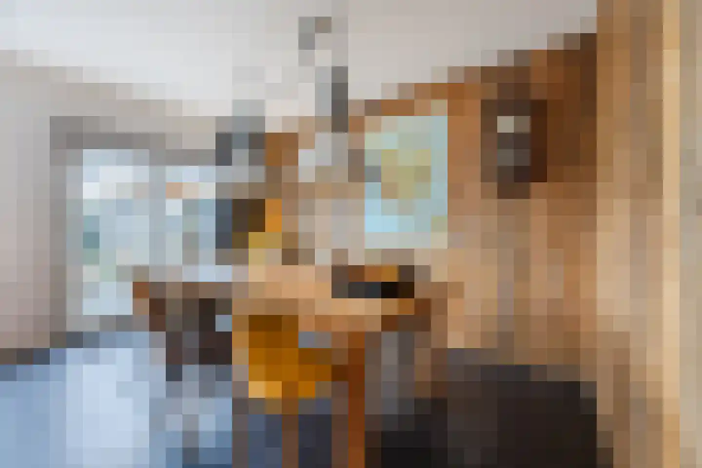 Staringhof 1 Hellevoetsluis thumbnail 9
