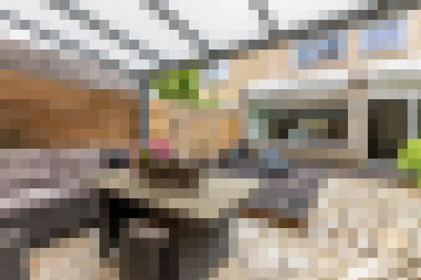 Staringhof 11 Hellevoetsluis thumbnail 14