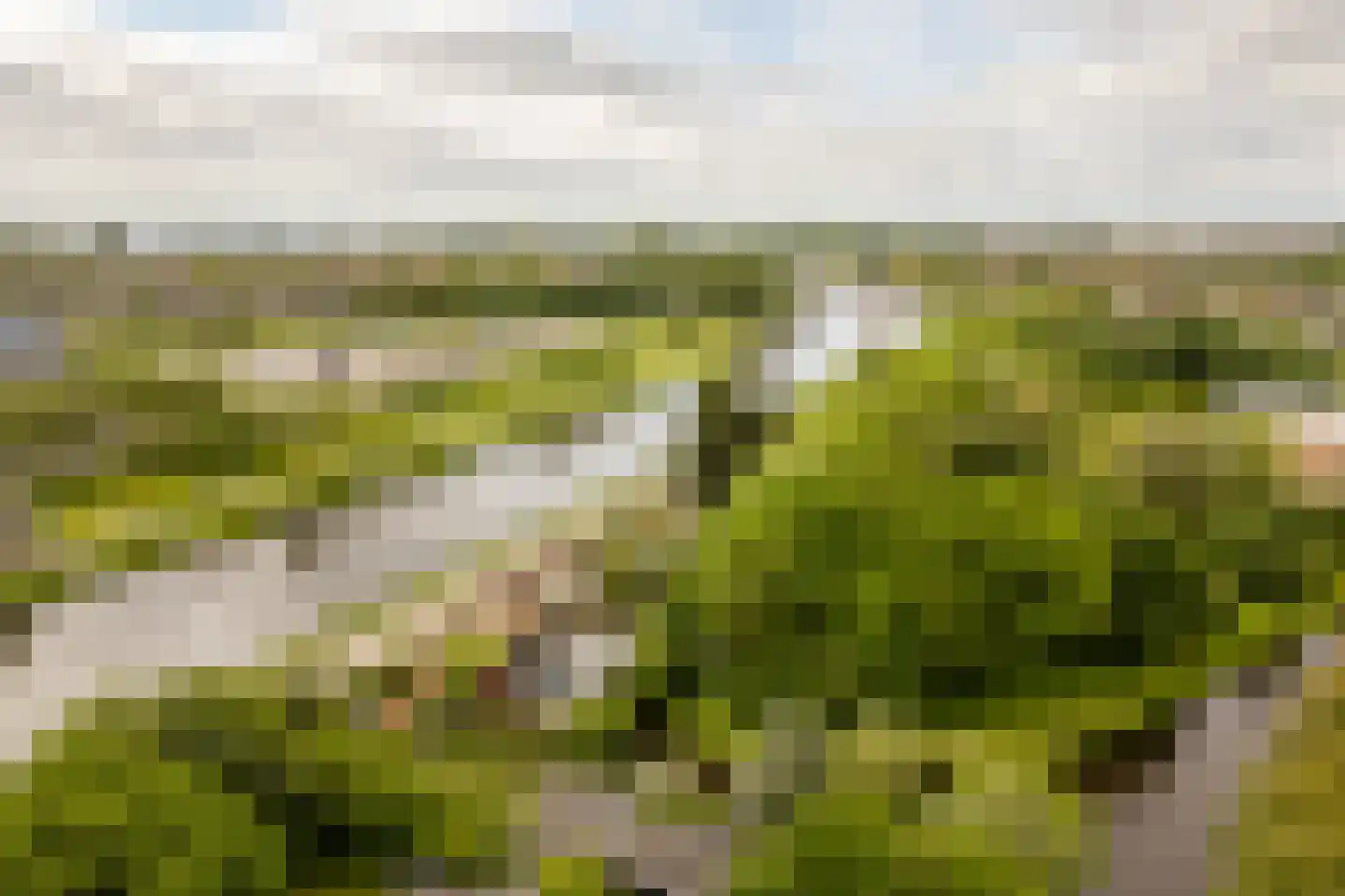 Staringhof 11 Hellevoetsluis thumbnail 31