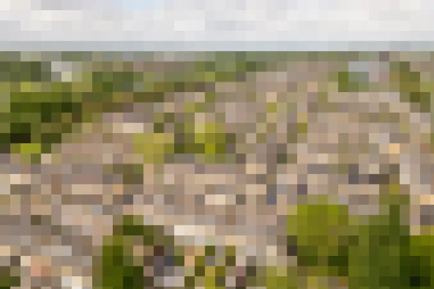 Staringhof 11 Hellevoetsluis thumbnail 33