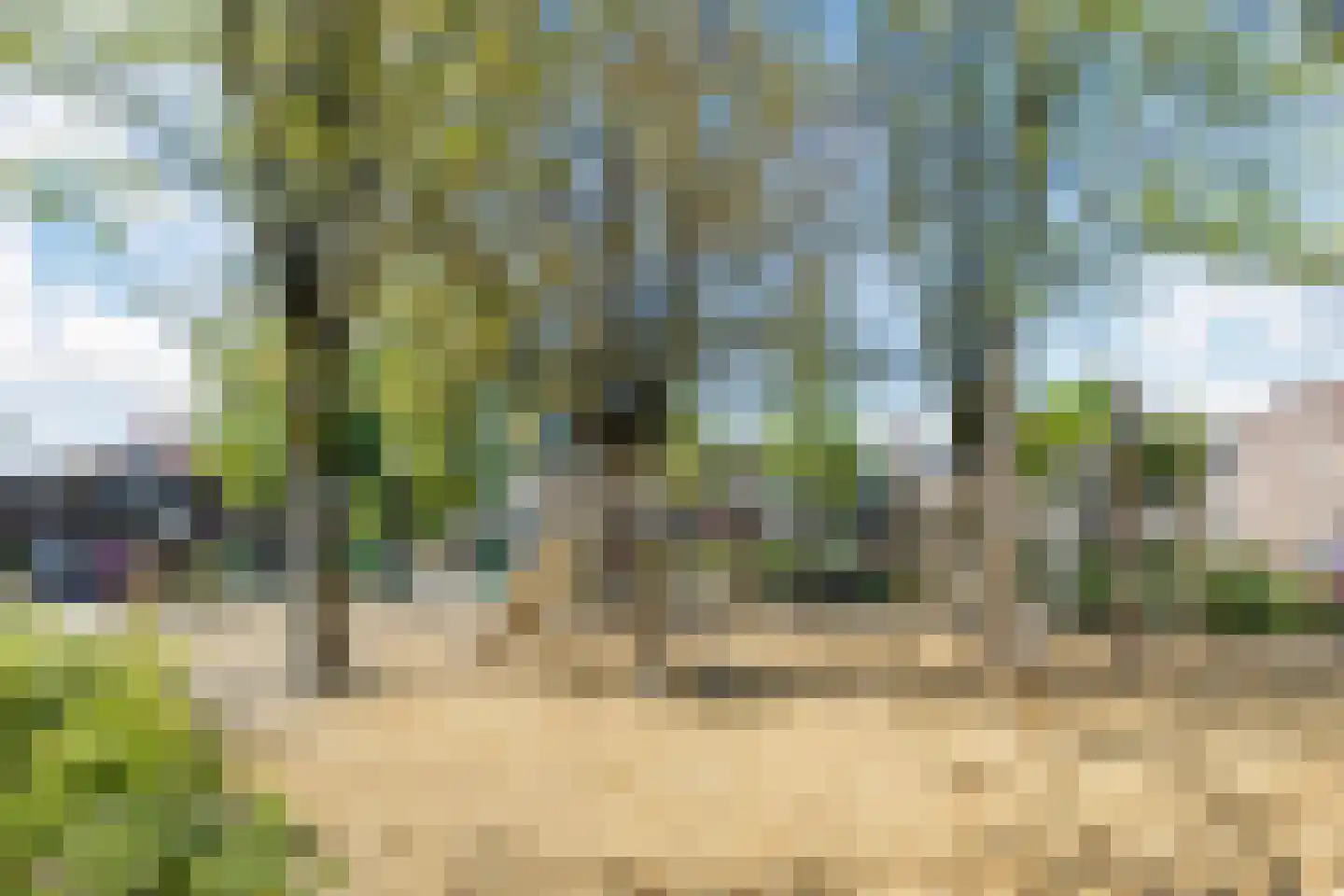 Staringhof 4 Tilburg thumbnail 32