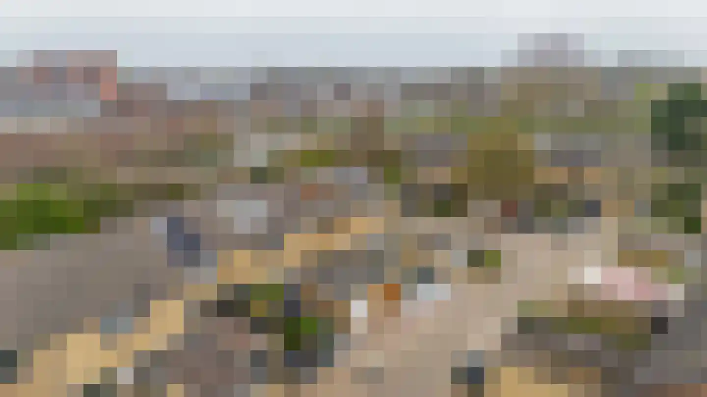Staringhof 42 Hellevoetsluis thumbnail 33