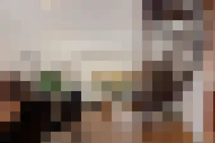 Staringhove 12 Zoetermeer thumbnail 10