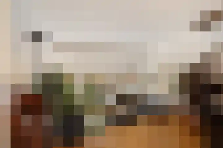 Staringhove 12 Zoetermeer thumbnail 19