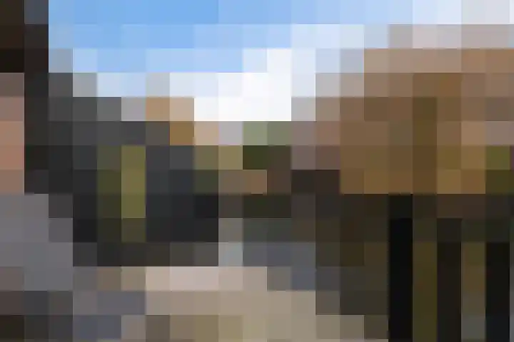 Staringhove 12 Zoetermeer thumbnail 21