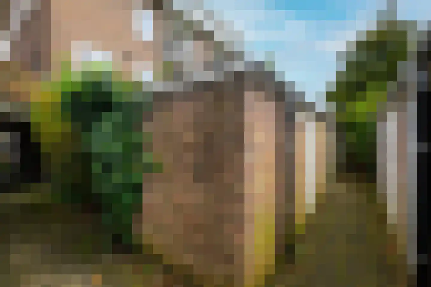 Staringkade 14 Voorburg thumbnail 20