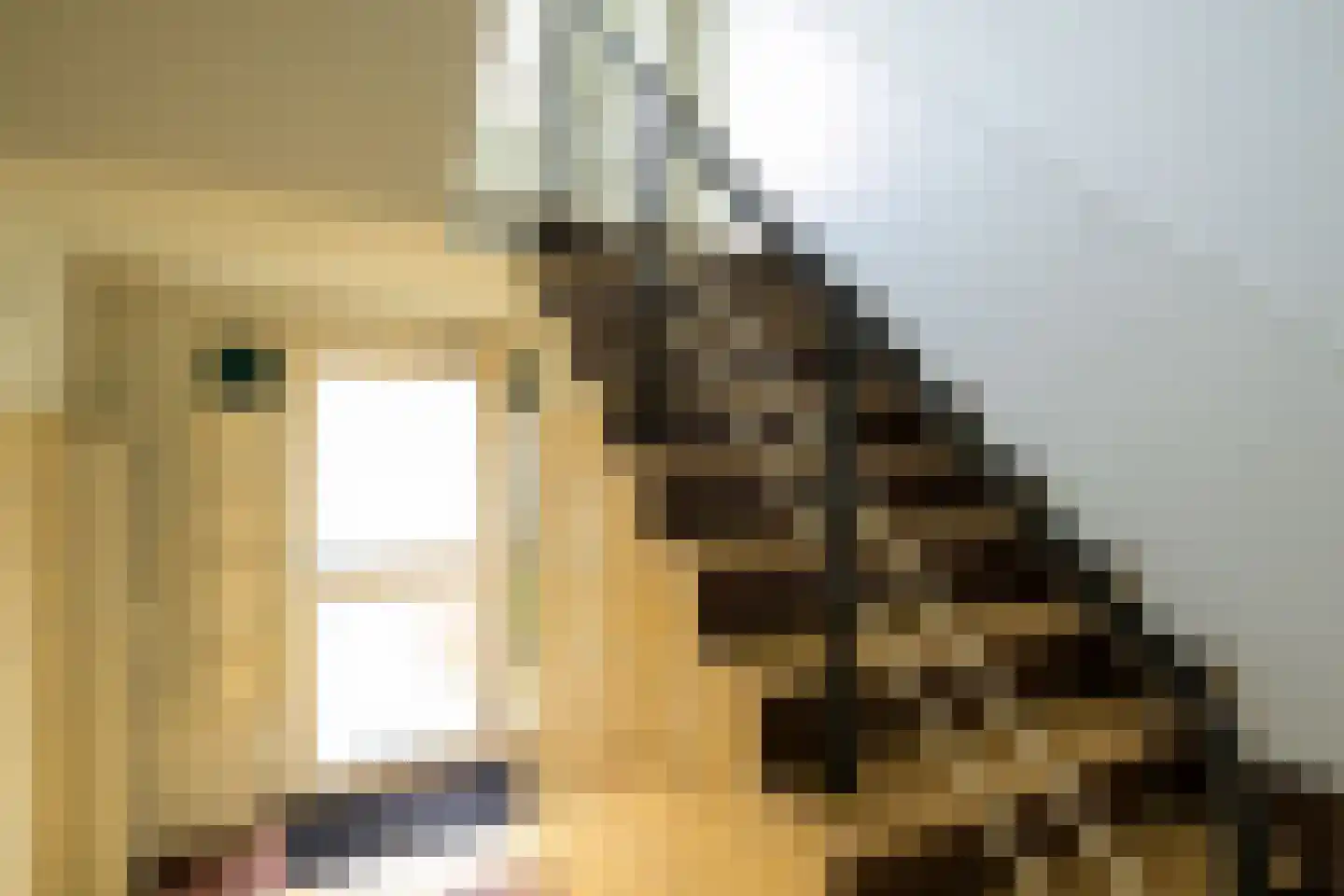 Staringkade 14 Voorburg thumbnail 6