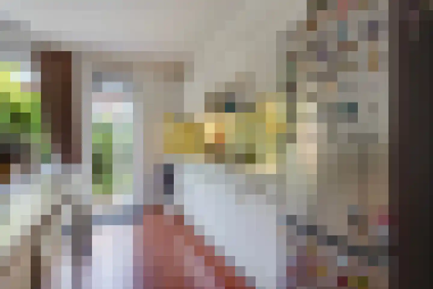 Staringkade 22 Voorburg thumbnail 15