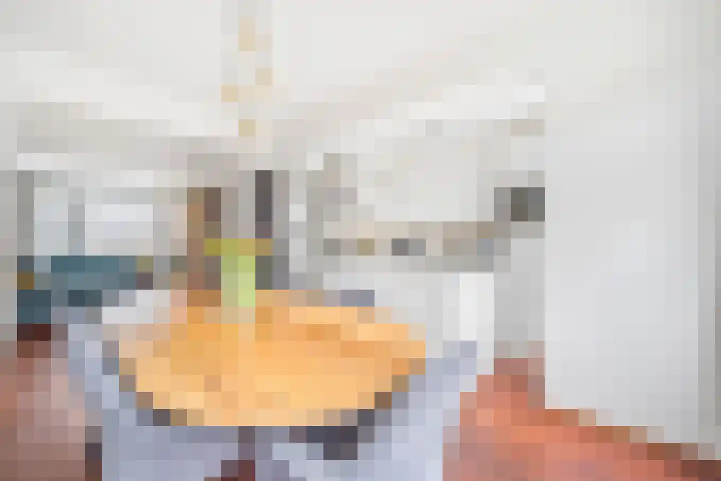 Staringkade 32 Voorburg thumbnail 11
