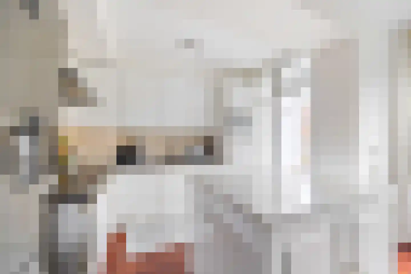 Staringkade 32 Voorburg thumbnail 12