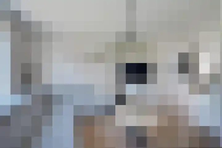 Staringkade 4 Voorburg thumbnail 11