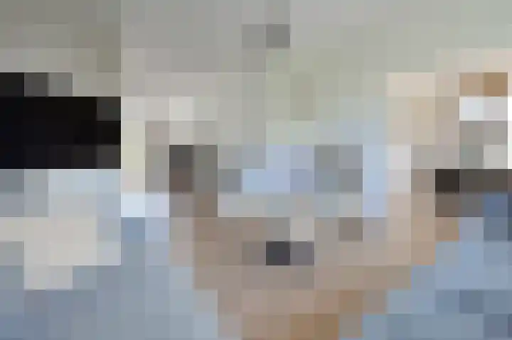 Staringkade 4 Voorburg thumbnail 12