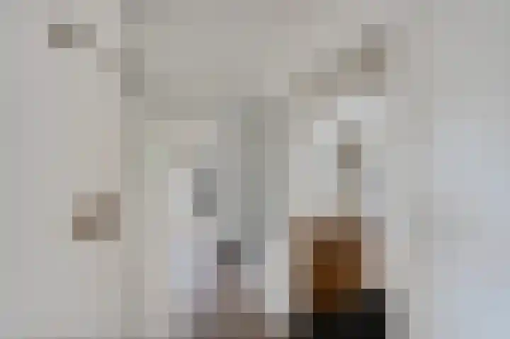 Staringkade 4 Voorburg thumbnail 7