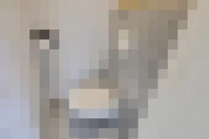 Staringkade 4 Voorburg thumbnail 9