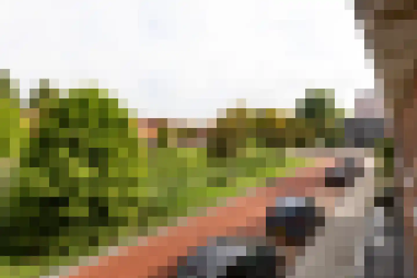 Staringkade 40 Leiden thumbnail 18