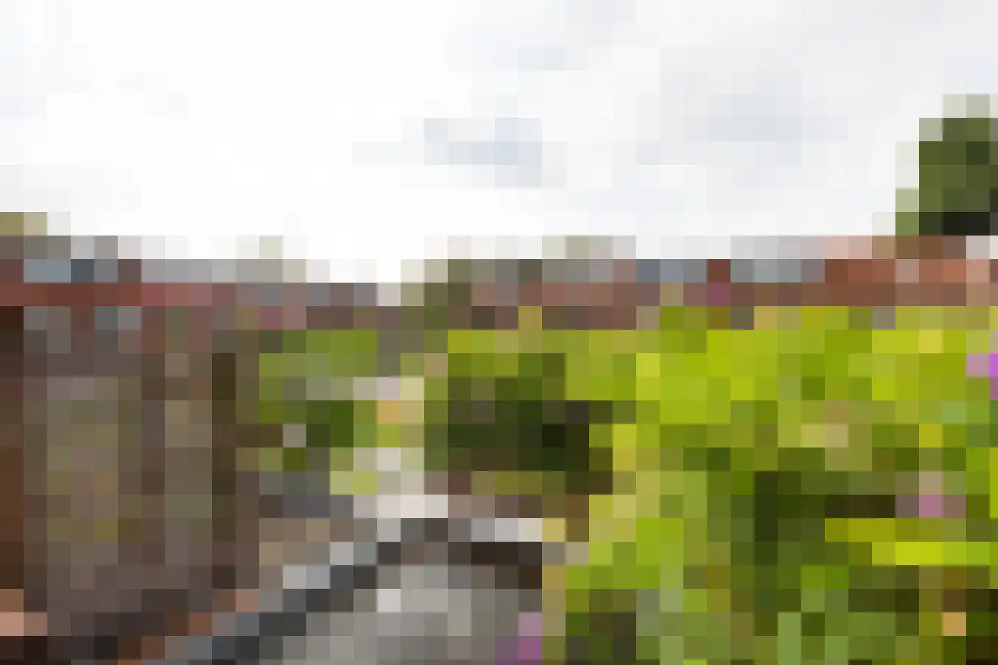 Staringkade 40 Leiden thumbnail 19