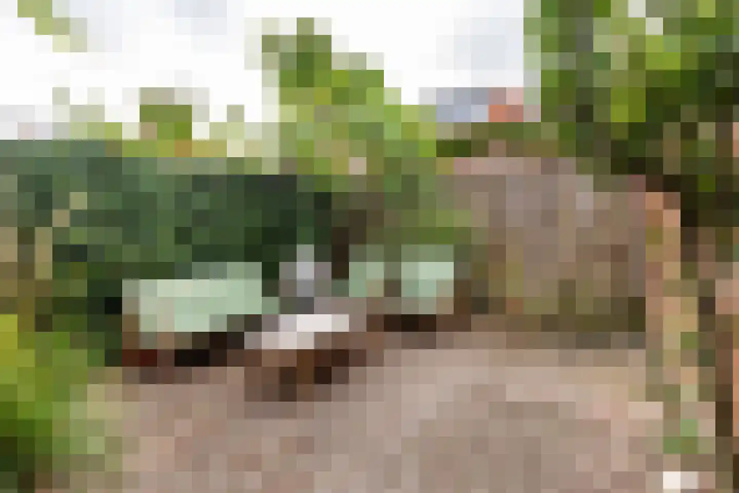 Staringkade 40 Leiden thumbnail 21