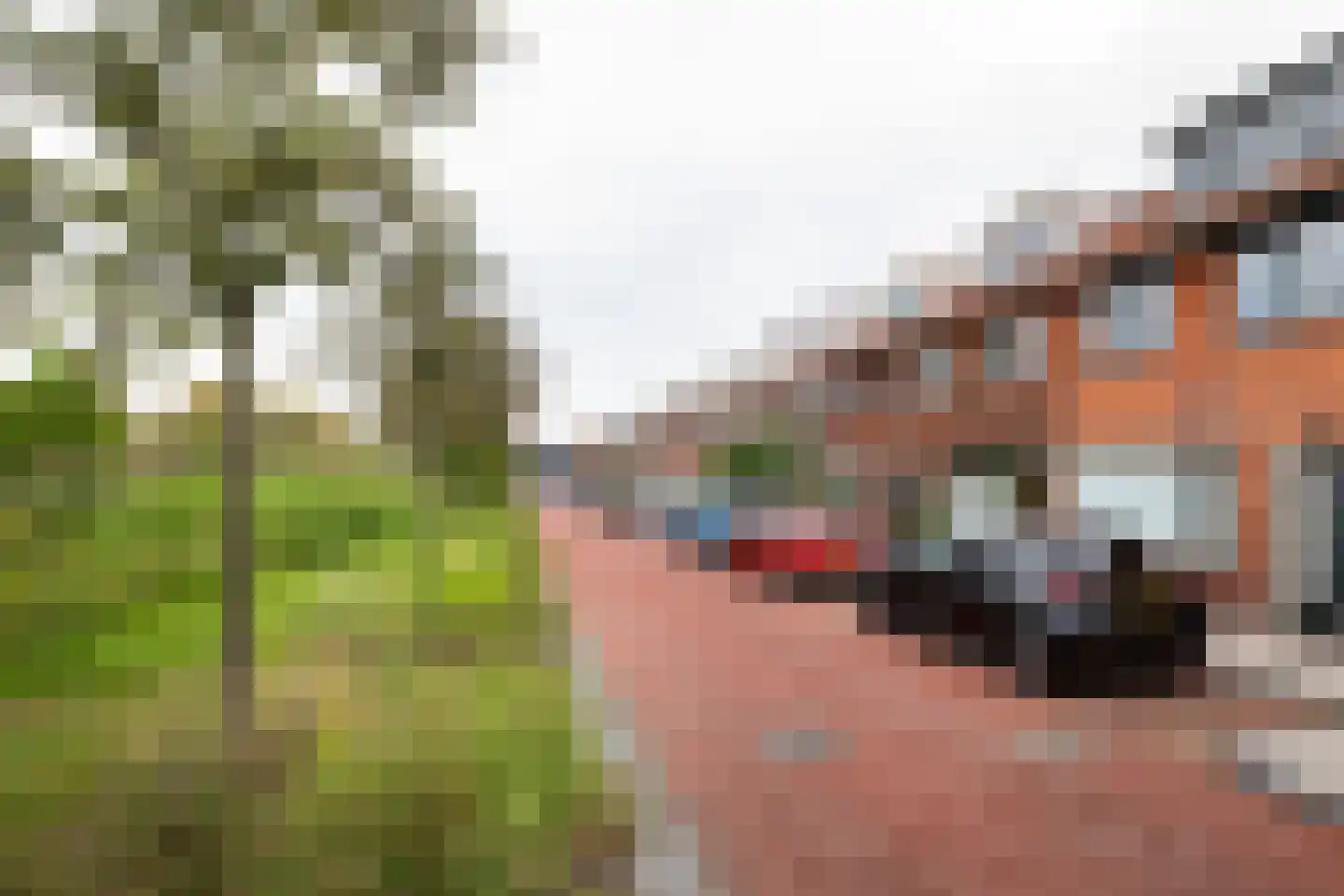 Staringkade 40 Leiden thumbnail 23