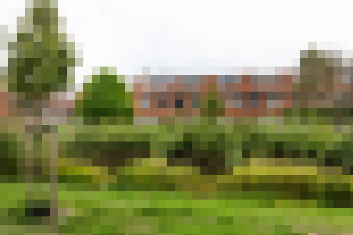Staringkade 40 Leiden thumbnail 25