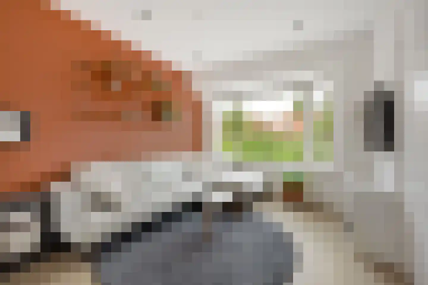 Staringkade 40 Leiden thumbnail 4