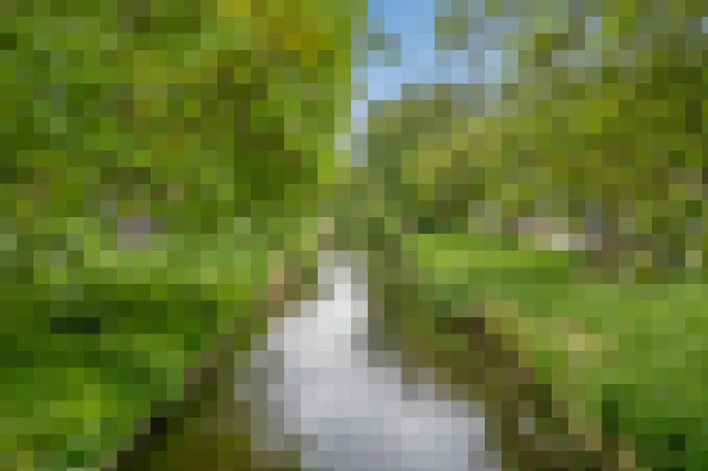 Staringkade 46 Voorburg thumbnail 31