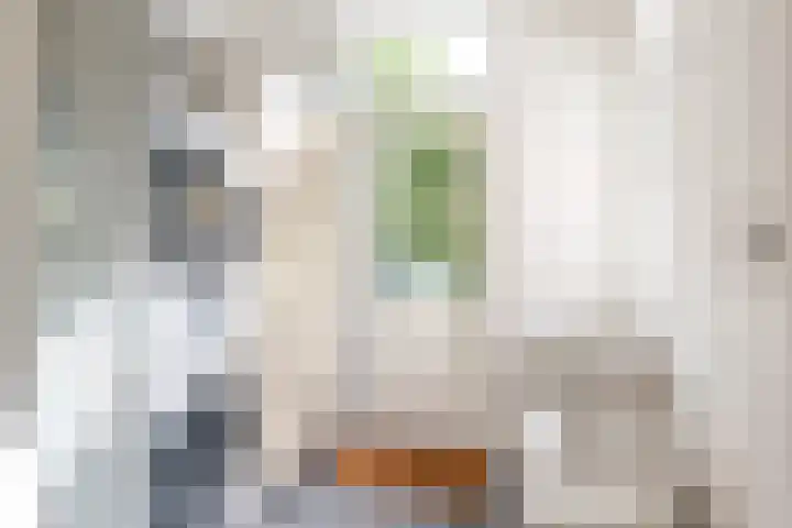 Staringlaan 1 Apeldoorn thumbnail 16