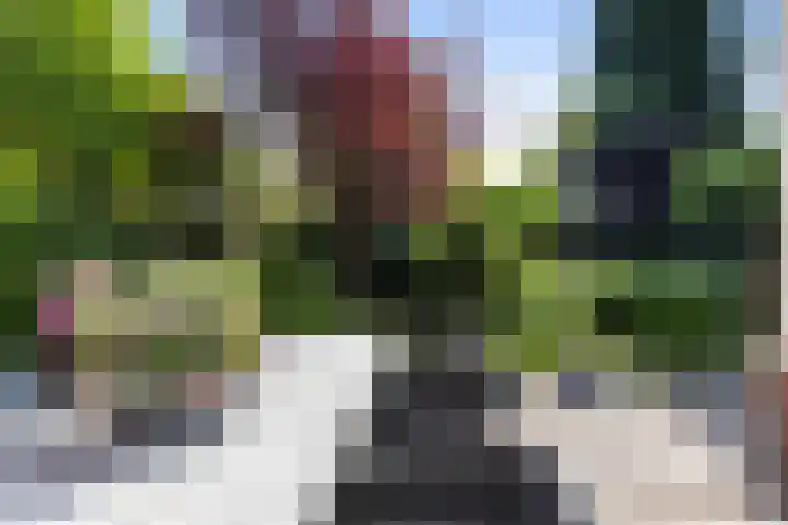 Staringlaan 1 Apeldoorn thumbnail 17
