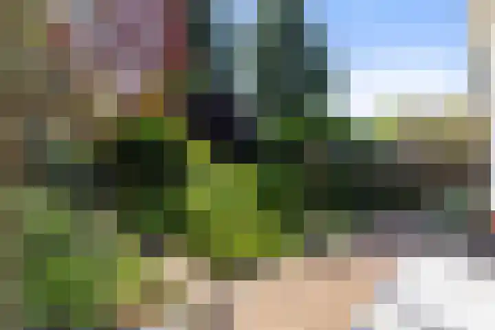 Staringlaan 1 Apeldoorn thumbnail 18