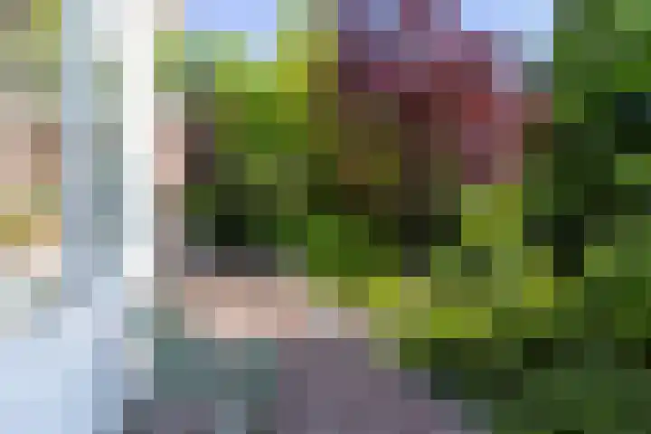Staringlaan 1 Apeldoorn thumbnail 20