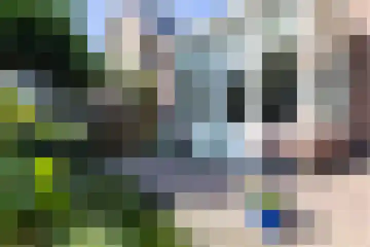 Staringlaan 1 Apeldoorn thumbnail 21
